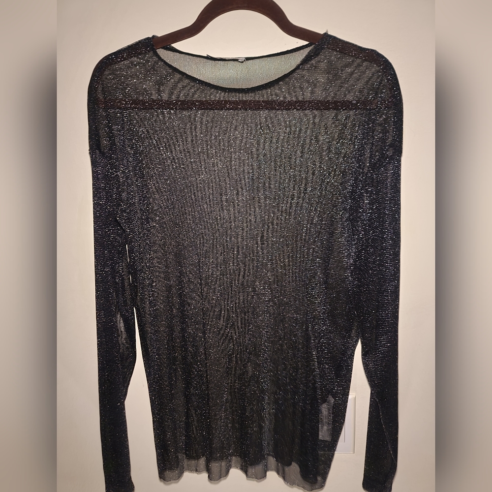 Zara Sheer Sparkle Top